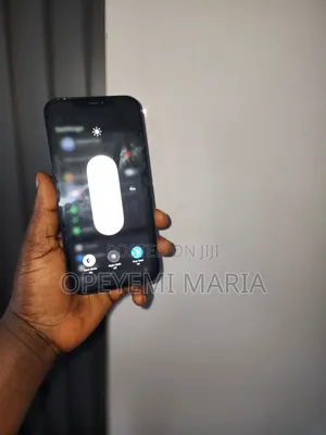 Apple iPhone 12 Pro Max 256 GB Blue