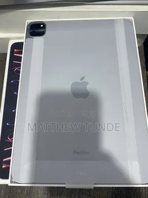 Apple iPad Pro 11 (2022) 256 GB Gray