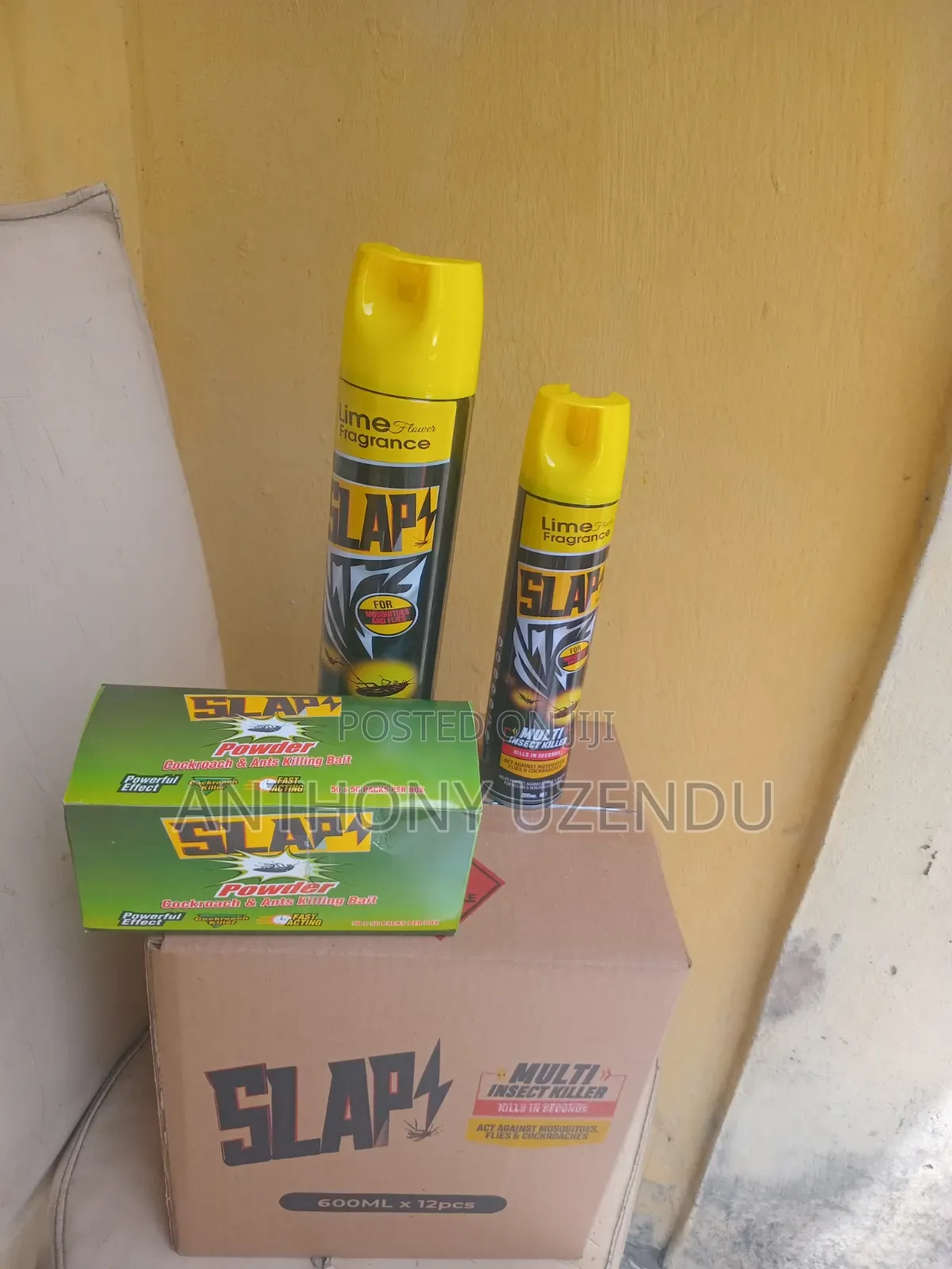 Aerosol Insecticide