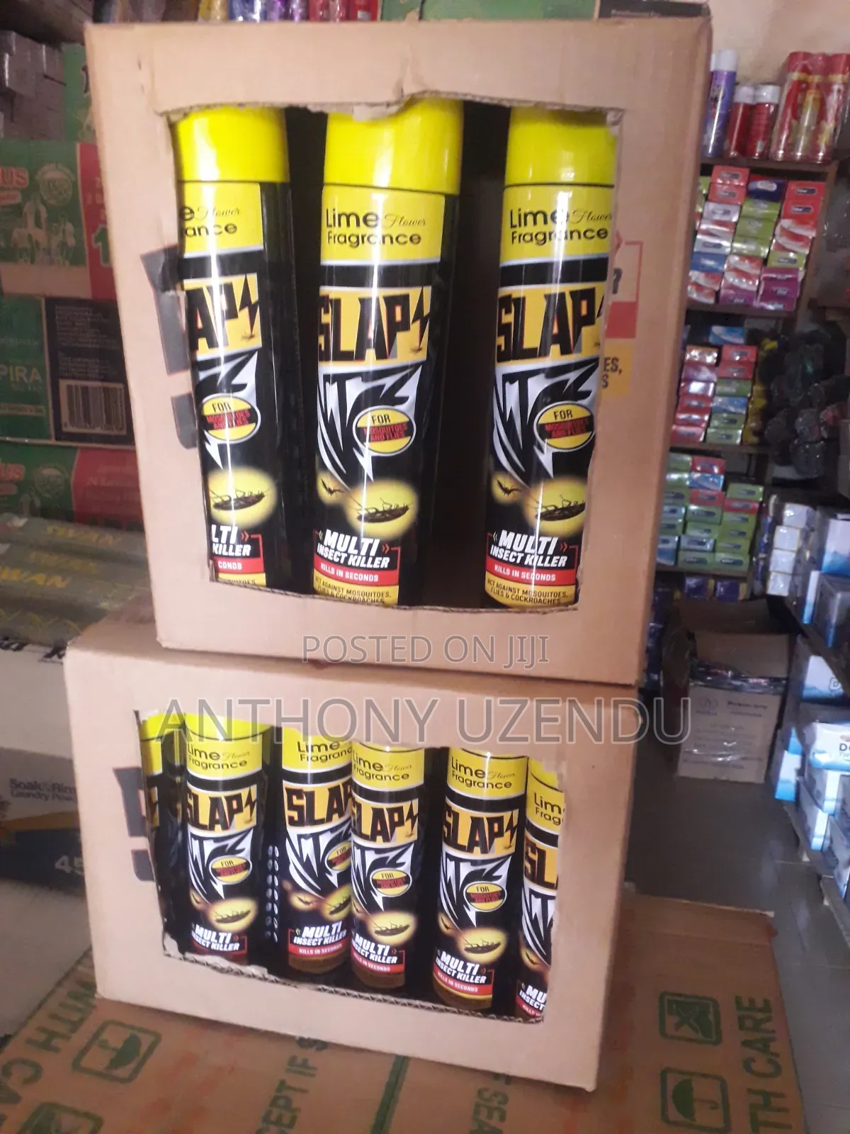 Aerosol Insecticide
