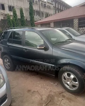 Mercedes-Benz M Class 2002 Blue