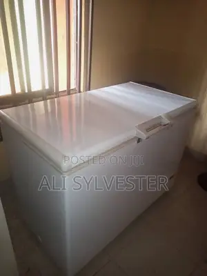 Thermocool Chest Freezer – Neatly Used, Working Perfectly