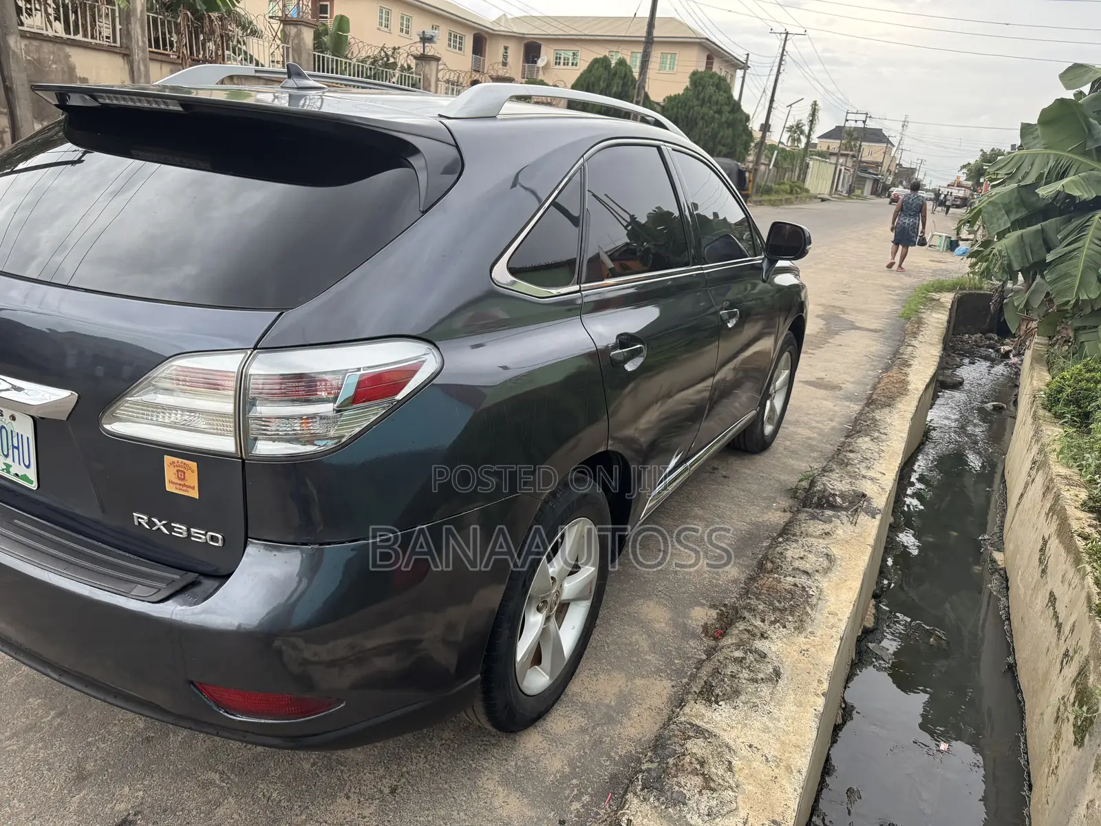 Lexus RX 2010 Gray