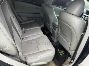 Lexus RX 2010 Gray