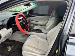 Lexus RX 2010 Gray