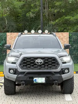 Toyota Tacoma Limited 2021 Gray