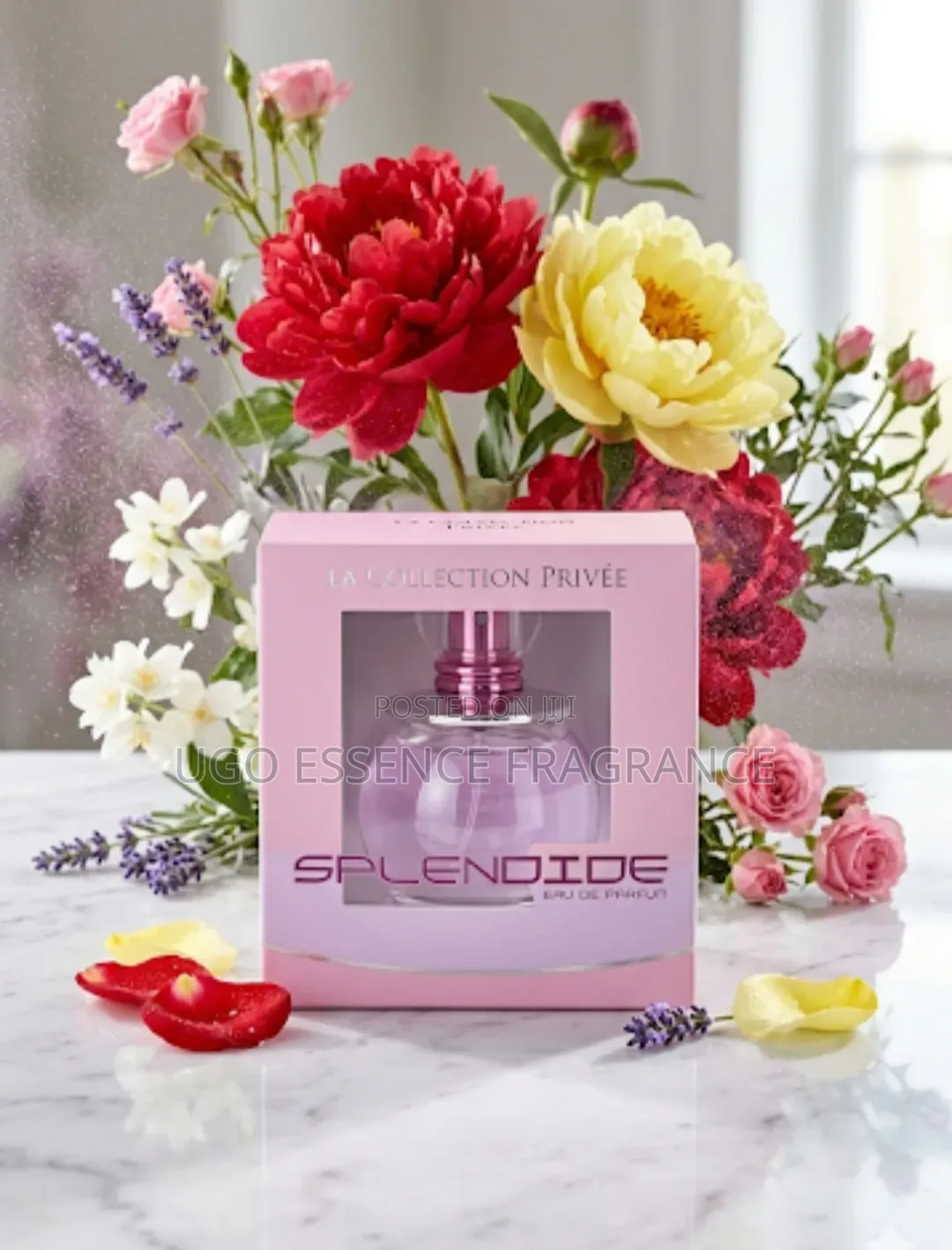 Splendide Collection