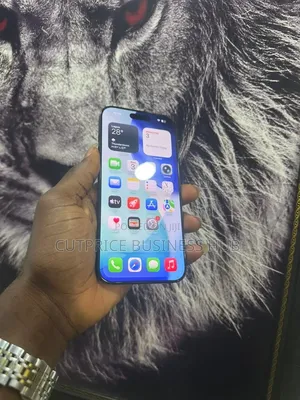 Apple iPhone 16 Pro Max 256 GB Black