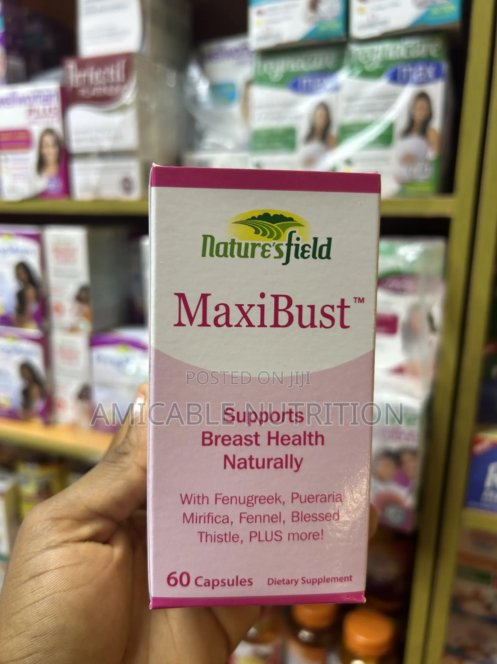 Maxi Bust Capsule