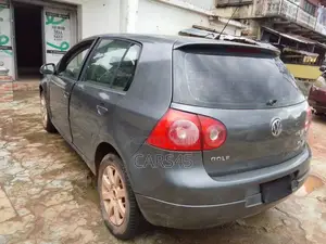 Volkswagen Golf 2006 Gray
