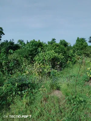 4 Plots Fertile Land for Sale.