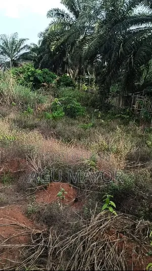 Two Plots Of Land For Sell