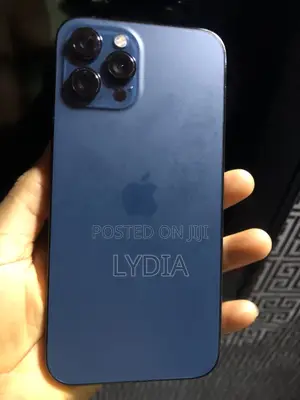 Apple iPhone 12 Pro Max 256 GB Blue
