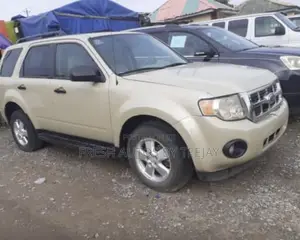 Ford Escape Limited 2010 Gold