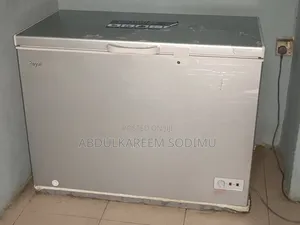 320 Litres Fairly and Neatly Used Royal Deep Freezer for Sale