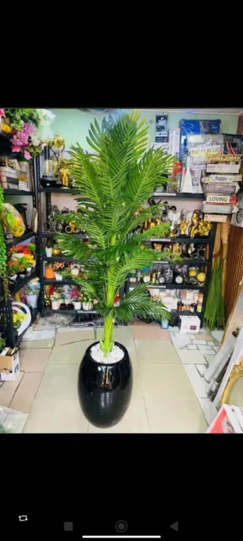Flower Plant