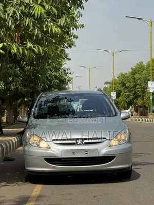 Peugeot 307 2005 Silver