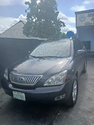 Lexus RX 330 2005 Gray