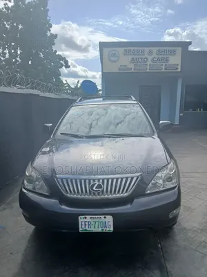 Lexus RX 330 2005 Gray