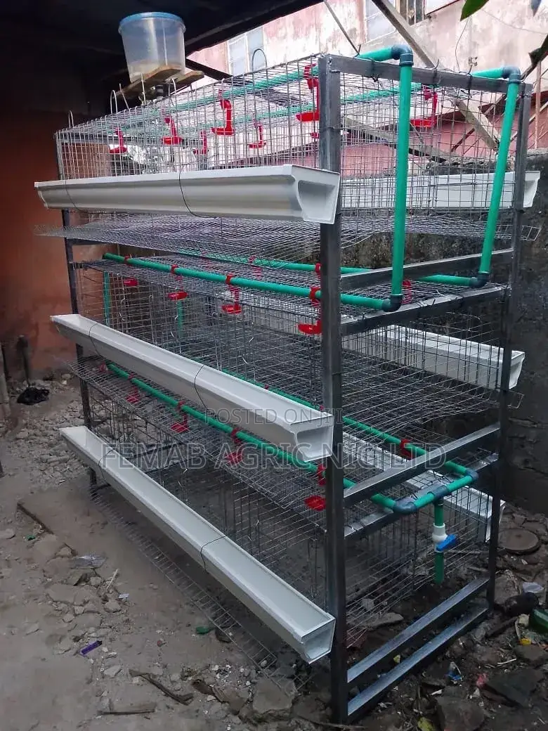 'H' LEG Type Layers Battery Cage