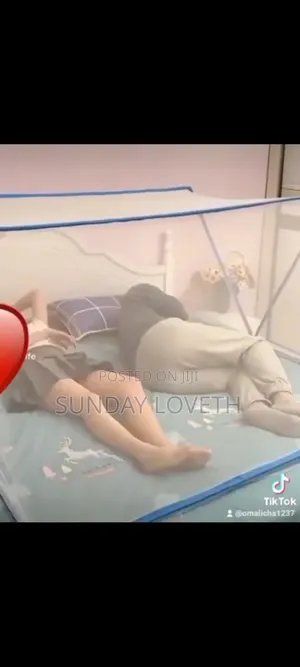 Foldable Mosquito Net