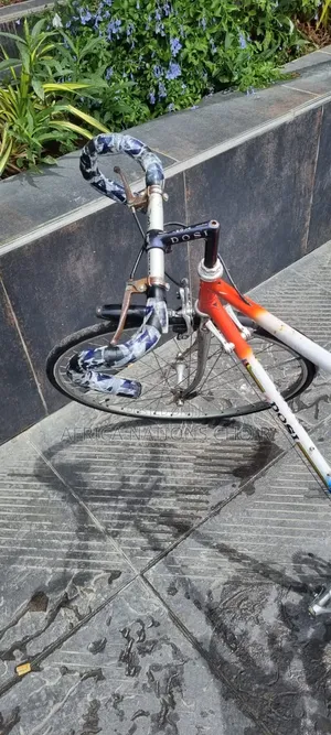 Dosi Sport Bicycle 28 Inches