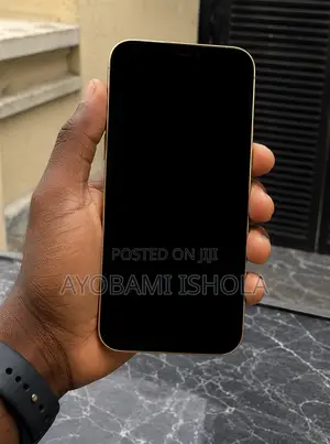 Apple iPhone 12 Pro Max 128 GB Gold