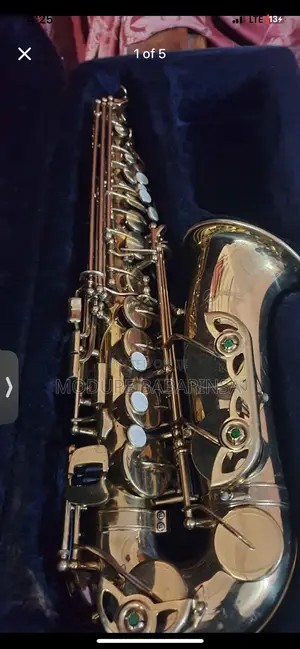 Atlantic Pro Alto Saxophone