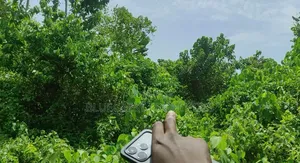 8 Plot of Land for Sale at Adebayo Aliri Olorunda Way Akobo Ibadan