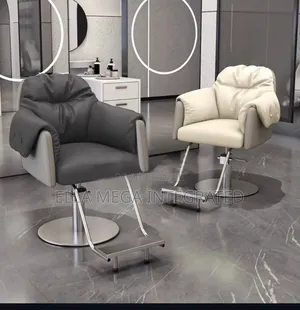 Salon Luxury Chair