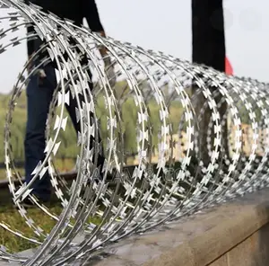 Heavy-Duty Galvanized Concertina Wire/Razor Barbed Security Fence Wire