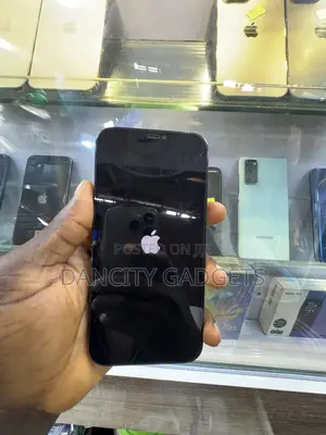 Apple iPhone 12 Pro Max 256 GB Blue