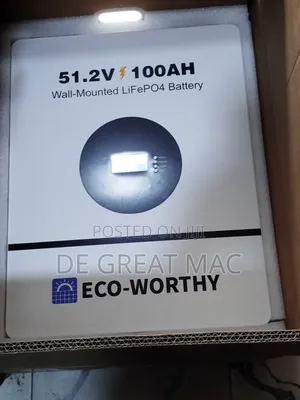 Eco Worthy Lithium Ion Battery