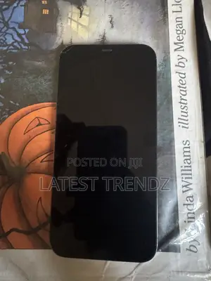 Apple iPhone 12 Pro Max 128 GB Black