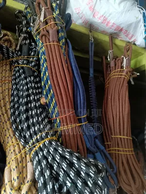 Security Lanyard 10 Pieces