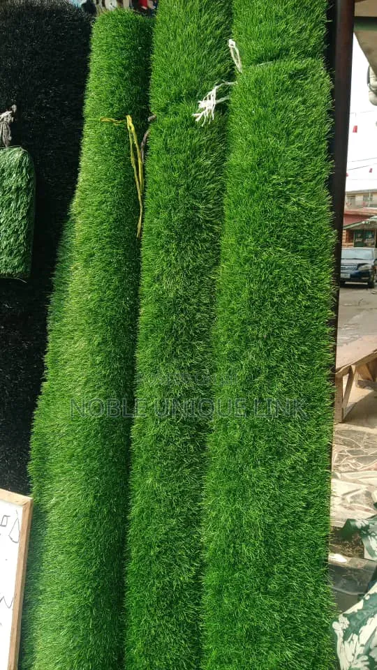 Carpet Grass