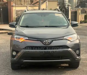 Toyota RAV4 2017 Gray
