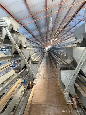 Imported Cages Hot Dipped Galvanized Poultry Cages