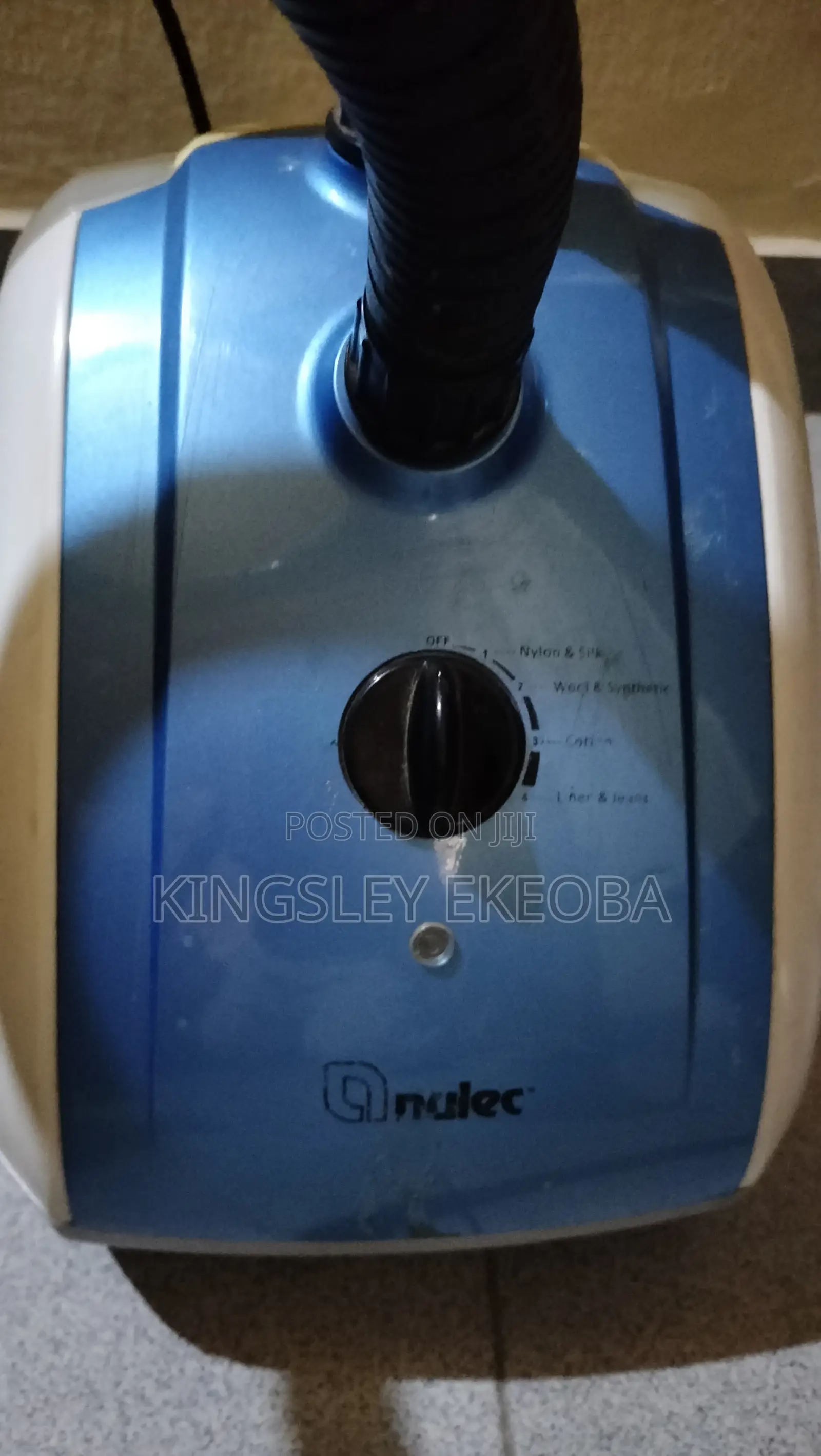 Garment Steamer
