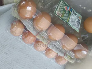 Crate of Eggs