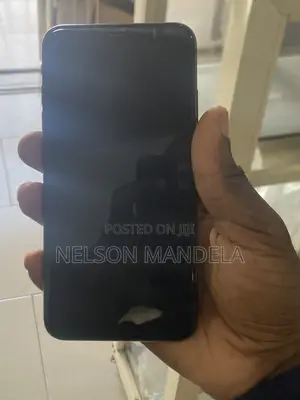 Apple iPhone XS Max 256 GB Gray