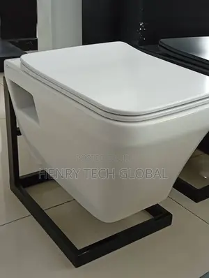 Square Conceal Seat and Tank