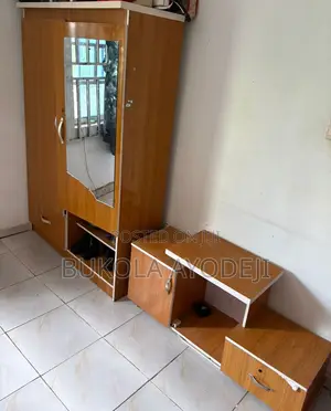 Neatly Used Mirror Wardrobe and Shelf