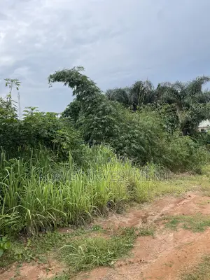 Buy Plot of Lands Close to RCCG _Wealdom Garden Phase