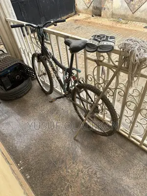 Avalon Bicycle