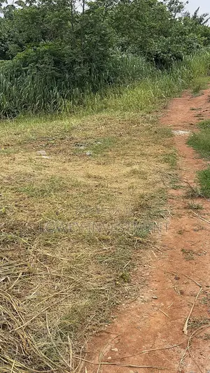 Genuine Lands in Alahun Village,Shimawa