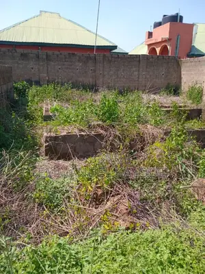One Plot of Land