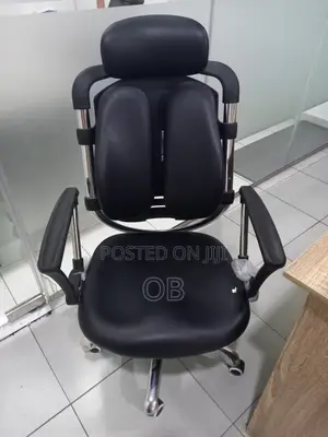 Ergonomic Kidney Design Office Chair
