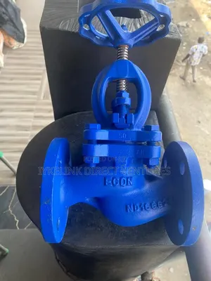 Dn 65 Globe Valve