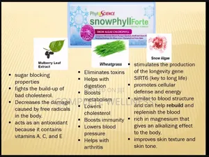 Ssnowphyllforte for Cleansing
